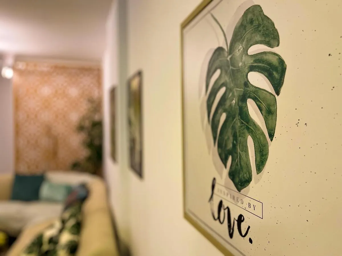 Apartamento Dos Sonhos - Centro Bc Balneário Camboriú